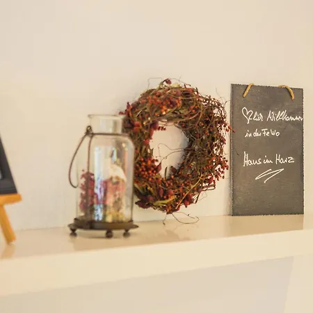 Hans Im Harz Lejlighed Sankt Andreasberg