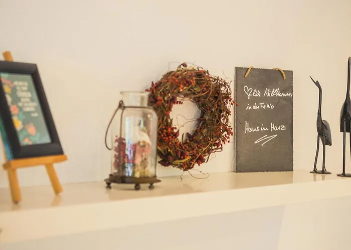 Hans Im Harz 公寓 圣安德里斯伯格